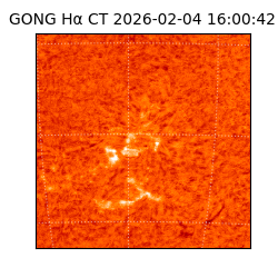 gong - 2026-02-04T16:00:42