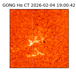 gong - 2026-02-04T19:00:42