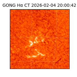 gong - 2026-02-04T20:00:42