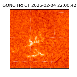 gong - 2026-02-04T22:00:42