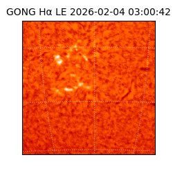gong - 2026-02-04T03:00:42