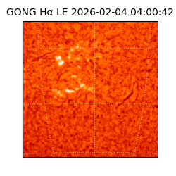 gong - 2026-02-04T04:00:42