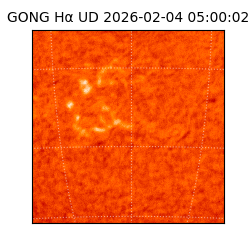 gong - 2026-02-04T05:00:02