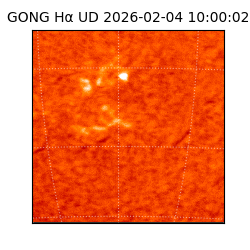 gong - 2026-02-04T10:00:02