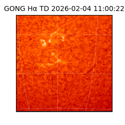 gong - 2026-02-04T11:00:22