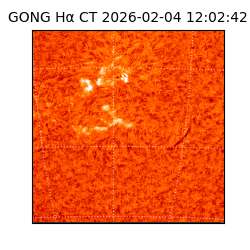 gong - 2026-02-04T12:02:42