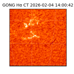 gong - 2026-02-04T14:00:42