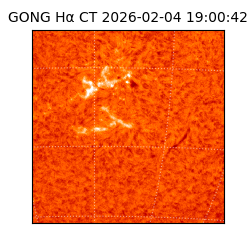 gong - 2026-02-04T19:00:42