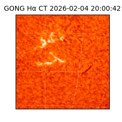 gong - 2026-02-04T20:00:42