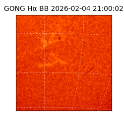 gong - 2026-02-04T21:00:02