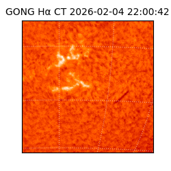 gong - 2026-02-04T22:00:42