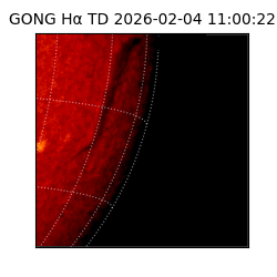 gong - 2026-02-04T11:00:22