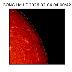 gong - 2026-02-04T04:00:42