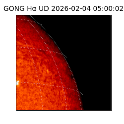 gong - 2026-02-04T05:00:02