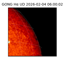 gong - 2026-02-04T06:00:02