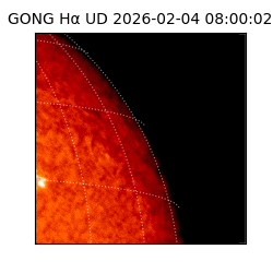 gong - 2026-02-04T08:00:02