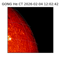gong - 2026-02-04T12:02:42