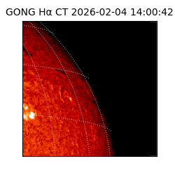 gong - 2026-02-04T14:00:42