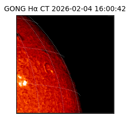 gong - 2026-02-04T16:00:42