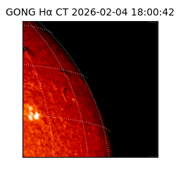 gong - 2026-02-04T18:00:42
