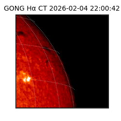 gong - 2026-02-04T22:00:42