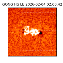 gong - 2026-02-04T02:00:42