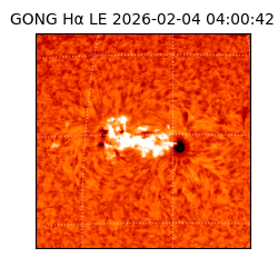 gong - 2026-02-04T04:00:42