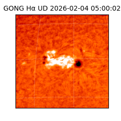 gong - 2026-02-04T05:00:02