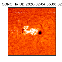 gong - 2026-02-04T06:00:02