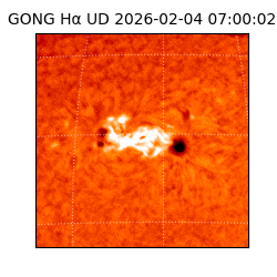 gong - 2026-02-04T07:00:02