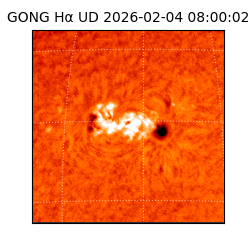 gong - 2026-02-04T08:00:02