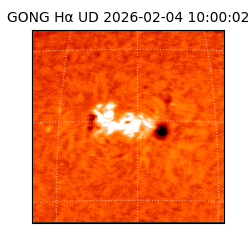 gong - 2026-02-04T10:00:02