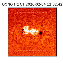 gong - 2026-02-04T12:02:42