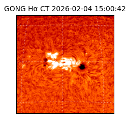 gong - 2026-02-04T15:00:42