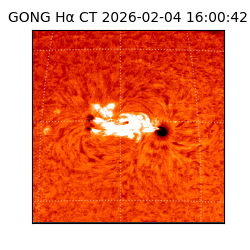 gong - 2026-02-04T16:00:42