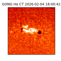 gong - 2026-02-04T18:00:42