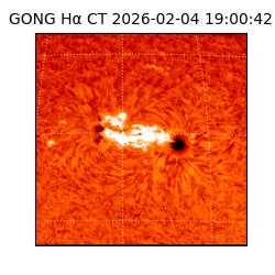 gong - 2026-02-04T19:00:42