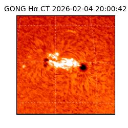 gong - 2026-02-04T20:00:42