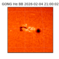 gong - 2026-02-04T21:00:02