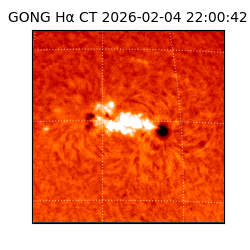 gong - 2026-02-04T22:00:42