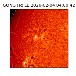 gong - 2026-02-04T04:00:42