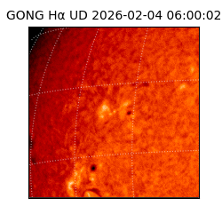 gong - 2026-02-04T06:00:02