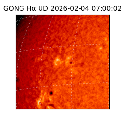 gong - 2026-02-04T07:00:02