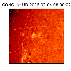 gong - 2026-02-04T08:00:02