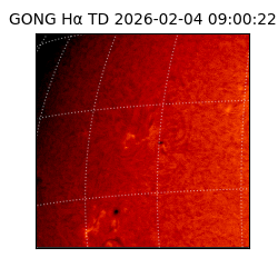 gong - 2026-02-04T09:00:22