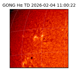 gong - 2026-02-04T11:00:22