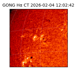 gong - 2026-02-04T12:02:42