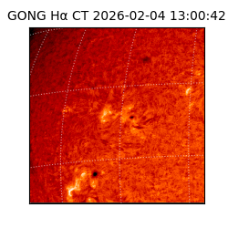 gong - 2026-02-04T13:00:42