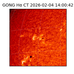 gong - 2026-02-04T14:00:42