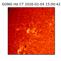 gong - 2026-02-04T15:00:42